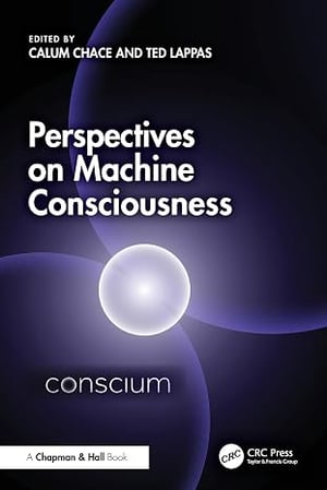 Perspectives on Machine Consciousness